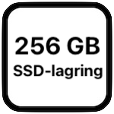 Lagringicon V2