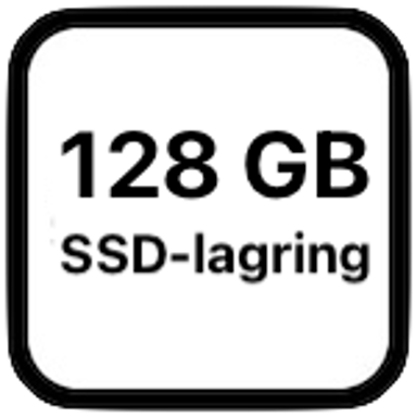 Lagringicon Copy (1)