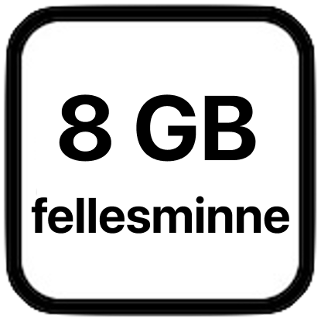 8Gb Memory Icon